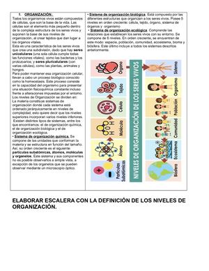 Caracteristicas De Los Seres Vivos