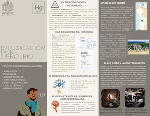 Folleto Intoxicación Por Mercurio
