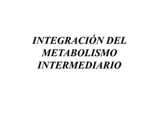 Integración Metabolismo Compressed