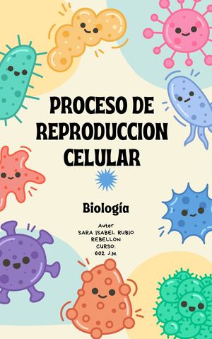 Proceso De Reproduccion Celular