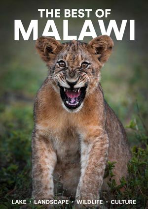 Best Of Malawi 2024