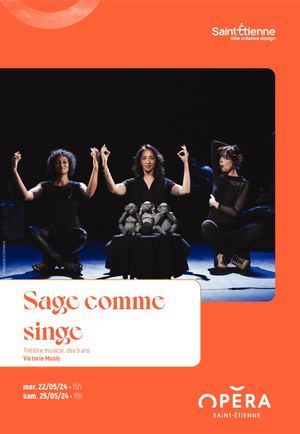 PROGRAMME DE SALLE - SAGE COMME SINGE