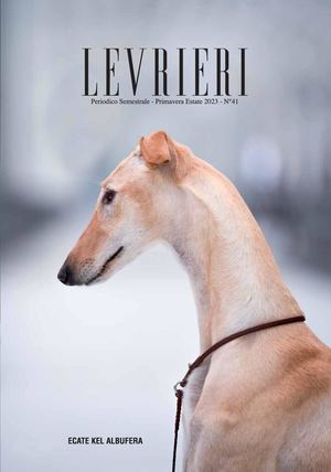 Rivista 41