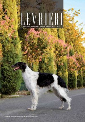 Rivista 42 Low Res