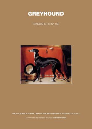 Commento Greyhound Low