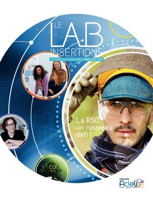 LAB INSERTIONS N°5 - Groupe ADELI