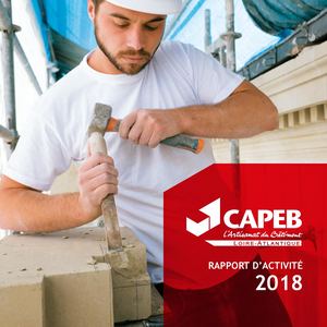 Rapport Annuel Capeb 2018