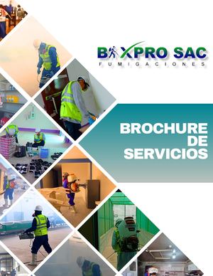 2024 Brochure Saneamiento Bixpro Sac