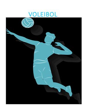 Voleibol