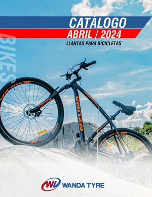 WANDA TIRES BIKES 2024