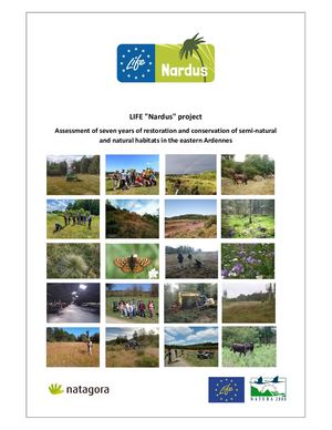 Annex E1d 3 Layman's Report English