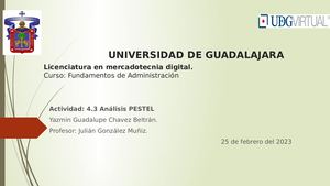 4 3 Análisis Pestel