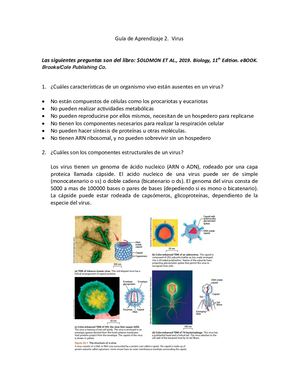 Taller Guia 2 Biología