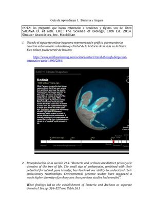 Taller 1 Biología Archea, Bacterias Y Virus