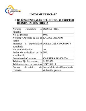Informe Pericial Fusionado (1)
