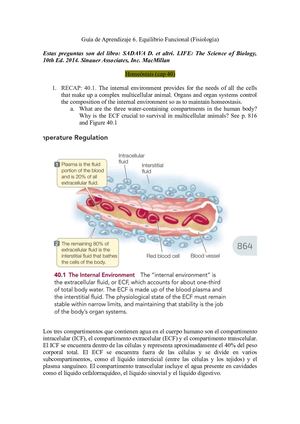 Taller 6 Biología Guía 6 Equilibrio Funcional