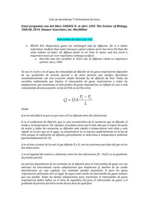 Taller 7 Homeostasis Gases
