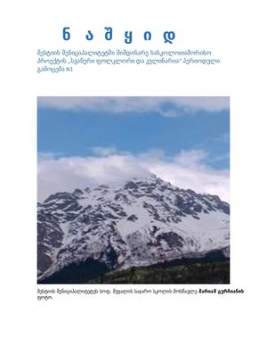 ნაშყიდ N1