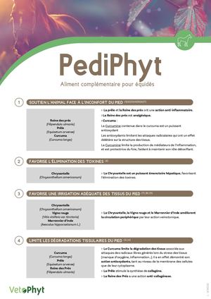 Fiche Pedi Phyt
