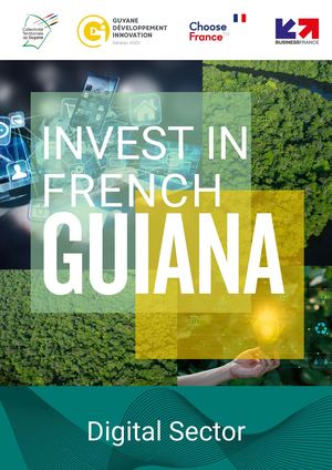Invest in French Guiana : Digital sector