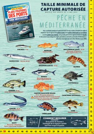 Réglementation Pêche