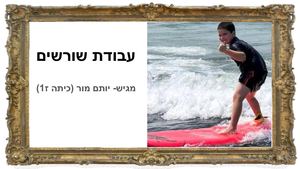 עבודת שורשים יותם מור