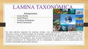 Lamina Taxonómica