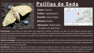 PROYECTO BIOLOGIA 3ro BGU "B"