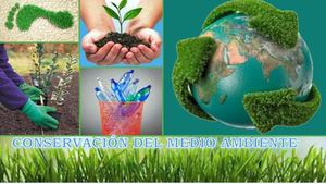 La Importancia De La Conservación Ambiental