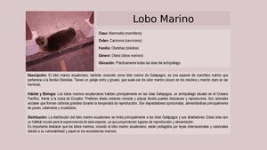 Laminas Bio, Formato