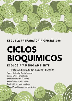 CICLOS BIOGEOQUIMICOS