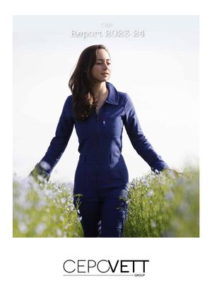 Rapport RSE 2023 24 GB