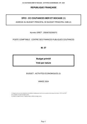 Budget Primitif 2024 - Activités économiques