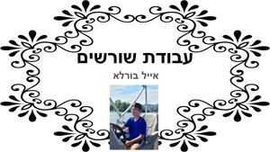 עבודת שורשים אייל בורלא
