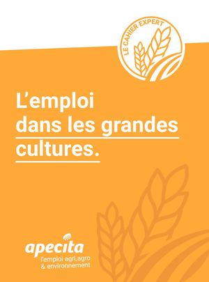 Cahier Expert Grandes Cultures 2024