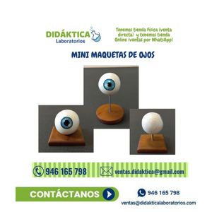 Mini Maqueta De Ojos