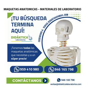 Maquetas Anatomicas