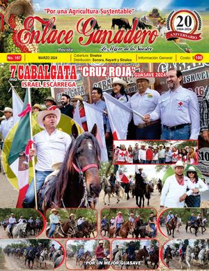 Revista Enlace Ganadero Edicion 167