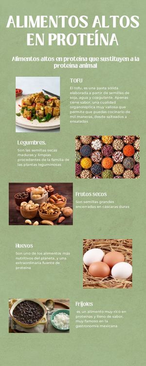 Green Minimal Nutrition Infographic