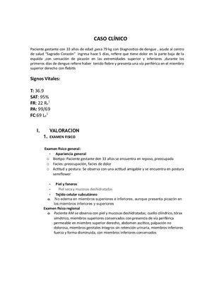 Esquema De Pae Desarrollado