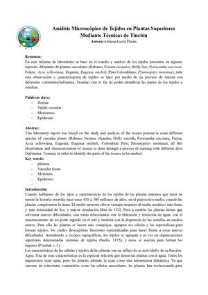 Análisis Microscópico De Tejidos En Plantas Superiores Mediante Técnicas De Tinción