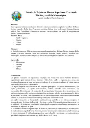 Estudio De Tejidos En Plantas Superiores Proceso De Tinción Y Análisis Microscópico