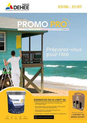 DEHEE SIGMA PROMOS ÉTÉ 2024