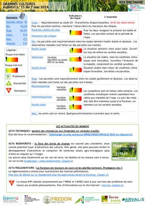 BSV Grandes Cultures n°13 07-05-2024