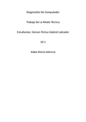 Diagnostico De Computador