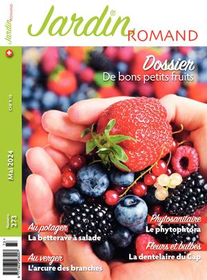 124501060 Ayer Jardin Romand No 273 2024 Web