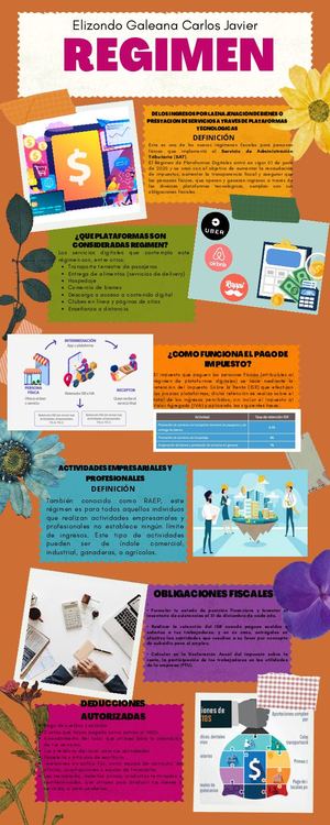 Infografia Tipos De Regimenes Fiscales