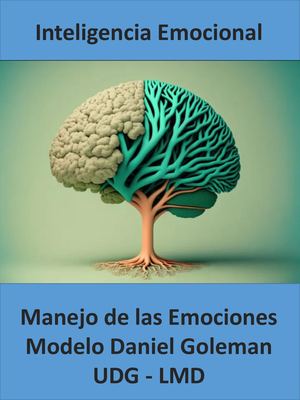 3 4 Aplicación Del Modelo De Goleman