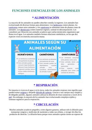 Funciones Basicas De Los Animales1