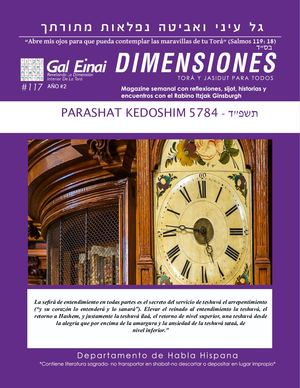 Dimensiones Kedoshim 5784 Edición 117